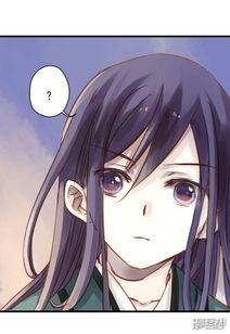 哑舍最新爆料4月,四月揭秘，古董奇缘再掀波澜